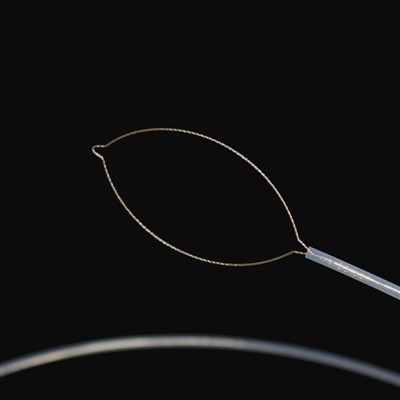 Muƙara nau'in ƙasar waje